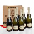 Champagner Cuvee exklusiv für Viadurini Packung mit 6 Flaschen „Champagne de Vignerons“