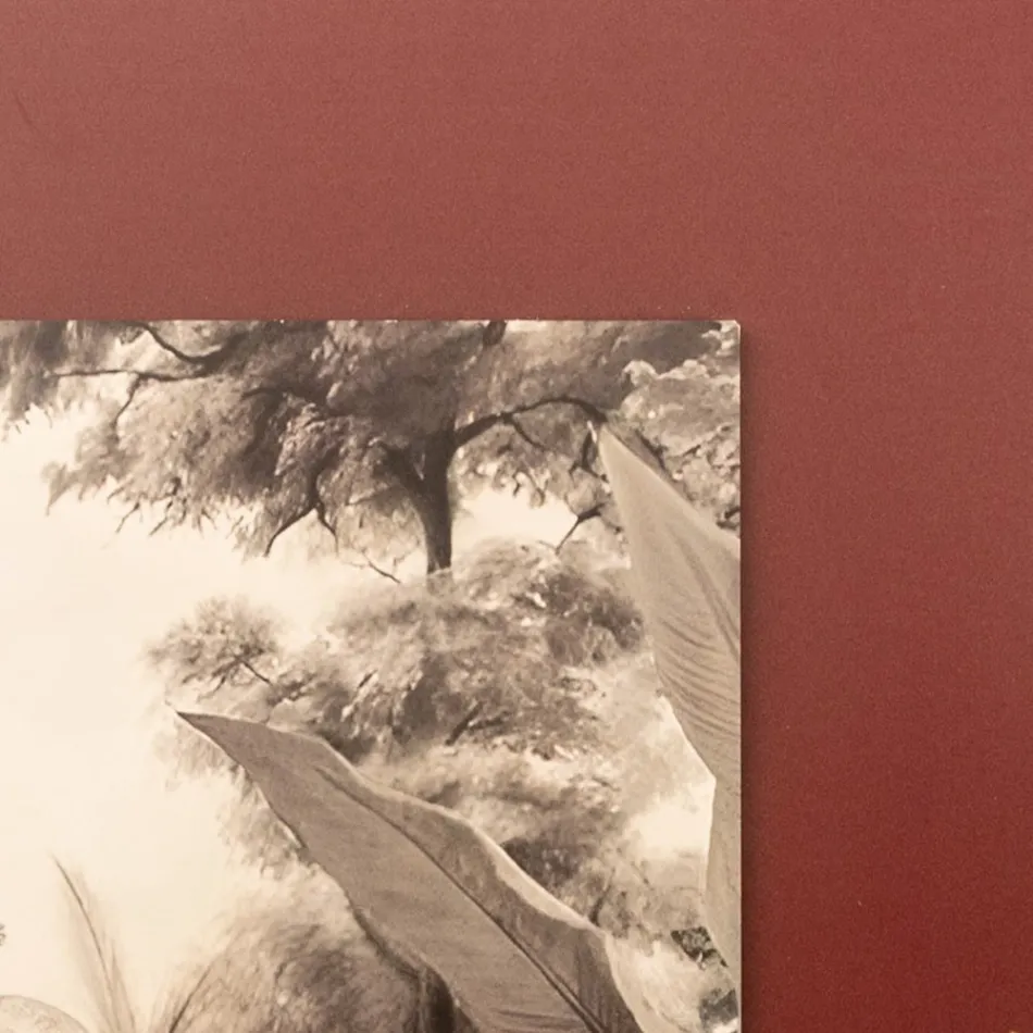 Komposition aus Holzgemälden mit Elefantendruck, hergestellt in Italien – Patagonien Viadurini