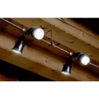 personifizierte Zusammensetzungen, Wünsche Viadurini