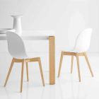 Connubia Calligaris Academy Basic Design Stuhl aus Massivholz, 2 Stück Viadurini