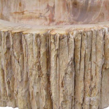 Holz Fossil Waschbecken Arbeitsplatte Goa Einzelstück