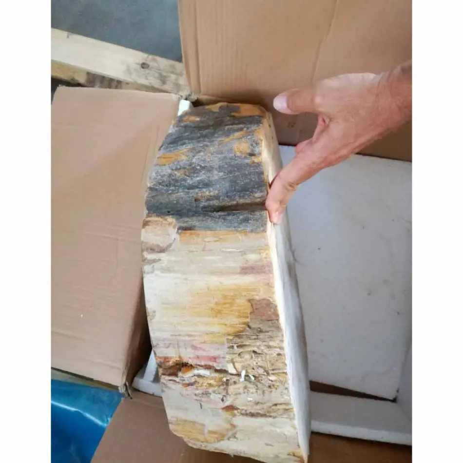 Waschbecken aus Holz Fossil Zähler Goa Einzelstück Viadurini