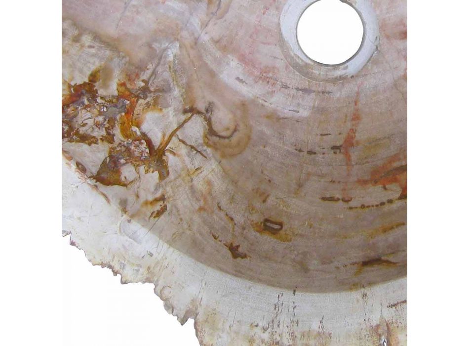 Holz Fossil Waschbecken Arbeitsplatte Goa Einzelstück