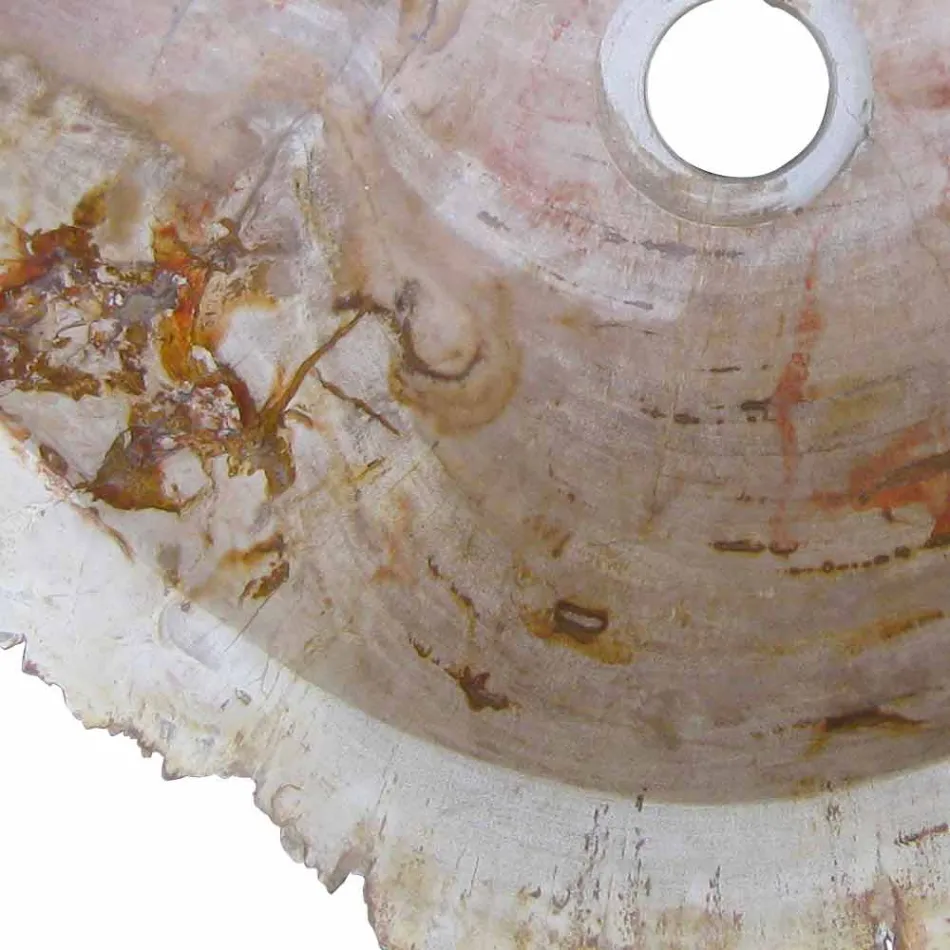 Holz Fossil Waschbecken Arbeitsplatte Goa Einzelstück Viadurini