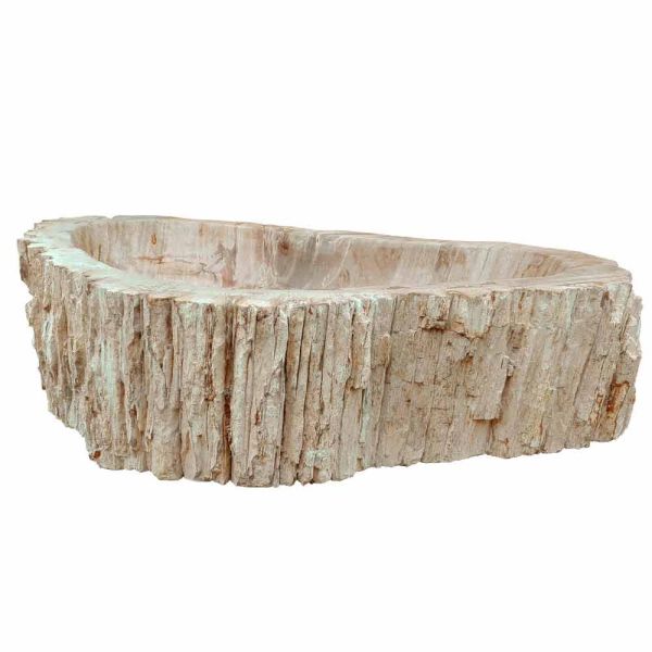 Aufsatzwaschbecken aus fossilholz unikat goa