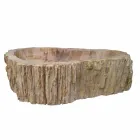 Holz Fossil Waschbecken Arbeitsplatte Goa Einzelstück Viadurini