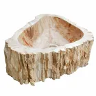 Holz Fossil Waschbecken Arbeitsplatte Goa Einzelstück Viadurini