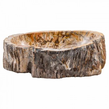Aufsatzwaschbecken aus versteinertem fossilem Holz, Neviglie
