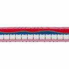 25 cm hochwertige Memory Doppelmatratze Made in Italy - Platin Viadurini