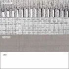 Garden Lounge Sessel Polsterstoff und Aluminium - Smart von Varaschin Viadurini