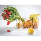 Moderne Obstschale aus farbigem Plexiglas Made in Italy - Multifruits Viadurini