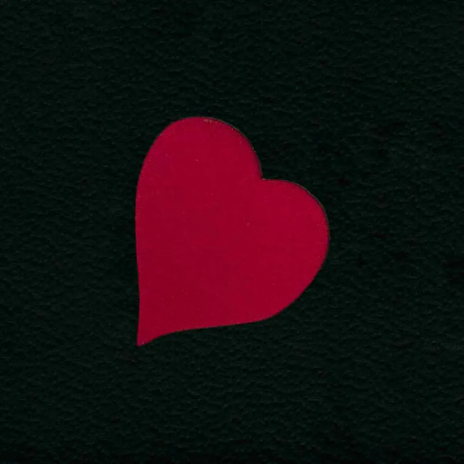 Design-Zeitschriftenständer aus Leder mit modernem Beatrice-Design Viadurini