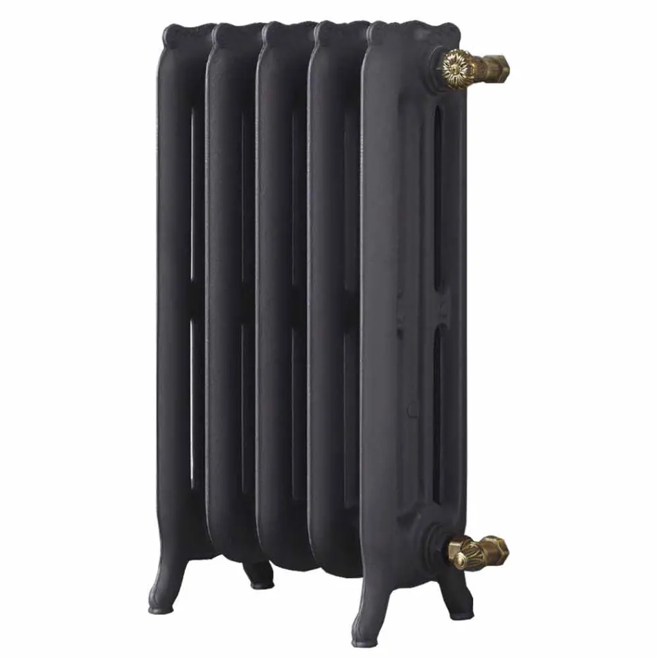 Design Radiator 5 Glatte Elemente aus Gusseisen vom Boden bis 1062 W - Barock Viadurini