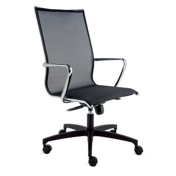 Hoher ergonomischer bürodrehstuhl mit rollen und armlehnen - filanna