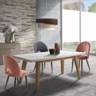 Küchenstuhl aus Samteffekt Stoff und Metall 4 Teile - Renetta Viadurini