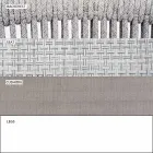 Stapelbarer Gartenstuhl mit gepolsterten Armlehnen H 73cm - Smart von Varaschin Viadurini