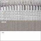 Stapelbarer Gartenstuhl mit gepolsterten Armlehnen H 73cm - Smart von Varaschin Viadurini