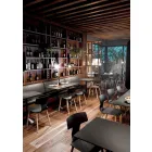 Made in Italy Esszimmerstühle aus Holz und Polypropylen, 2 Stück - Klee Viadurini