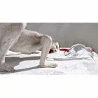 Stierförmiges Ornament aus rotem und transparentem Glas Made in Italy - Torero Viadurini