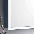 Moderner 2-türiger Wandspiegel, LED-Beleuchtung, Adele Viadurini