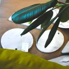 Rundes Design Weiß Carrara Marmor Schneidebrett Made in Italy - Mascha Viadurini