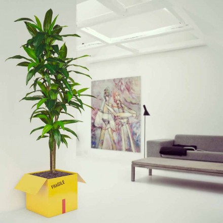 Porta-Tabelle Zeitschriften Fragile Mabele Viadurini