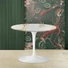 Tulip Saarinen Couchtisch H 41 mit runder Caracatta-Goldmarmorplatte Viadurini