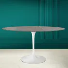 Tulpentisch Eero Saarinen H 73 Oval aus Keramik Pietra Grau Made in Italy - Scharlachrot Viadurini