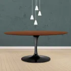 Eero Saarinen Tulip Tisch H 73 Oval in Eiche dunkel nussbaum gebeizt Made in Italy - Scharlachrot Viadurini