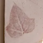 Toscot Vivaldi Terrakotta-Wandleuchte hergestellt in Italien Viadurini