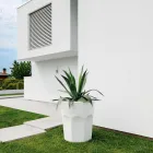 Hohe dekorative Vase in Glasform aus Polyethylen, hergestellt in Italien – Pucca Viadurini