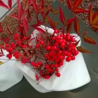 Dekorative Design Vase aus Bardiglio oder Carrara Marmor Made in Italy - Prisma Viadurini