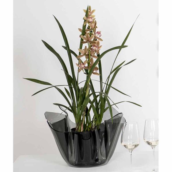 Pina rauchte drapierte innen- / außenvase, modernes design