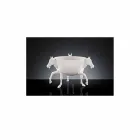 Ziervase für den Innenbereich aus weißer Keramik oder 24 Karat Gold Made in Italy - Jacky Viadurini